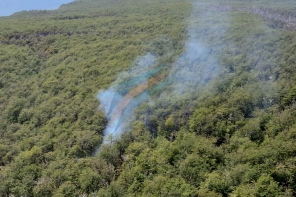 Tendrá que pagar más de $400 mil pesos de multa por prender fuego en lugar prohibido