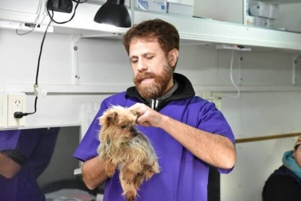 Tolhuin realizará una nueva campaña gratuita de castración, vacunación y desparasitación